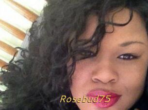 Rosebud75