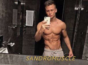 SANDRO_MUSCLE