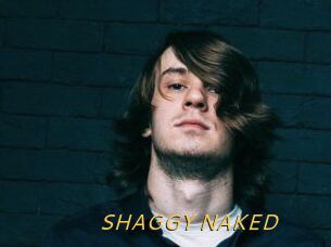 SHAGGY_NAKED