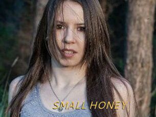SMALL_HONEY