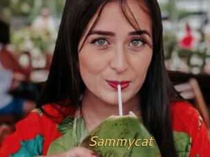Sammycat