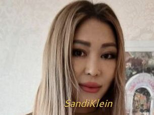 SandiKlein