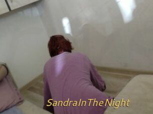 SandraInTheNight