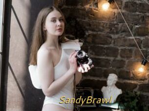 SandyBrawl