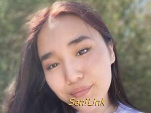 SaniLink