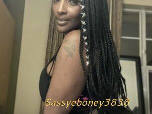Sassyeboney3838