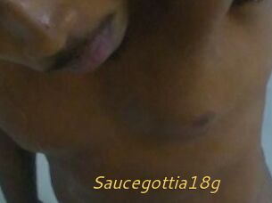 Saucegottia18g