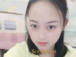 Scindapsus