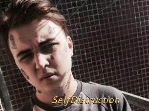 SelfDistruction