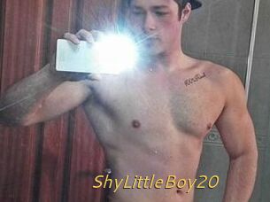ShyLittleBoy20