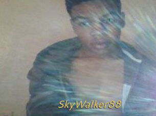 SkyWalker88