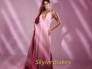 SkylerBlakes