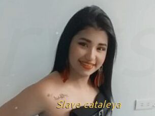 Slave_cataleya