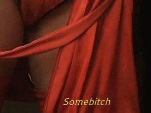 Somebitch