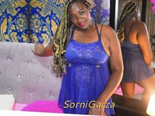 SorniGarza