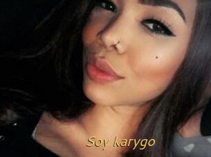 Soy_karygo
