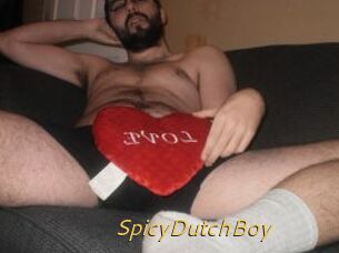 SpicyDutchBoy