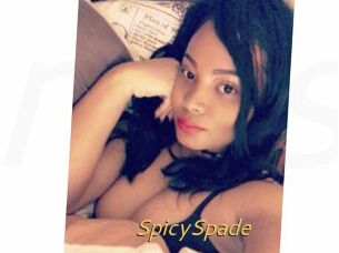 SpicySpade