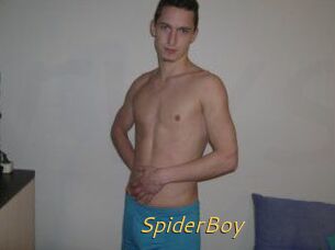 SpiderBoy