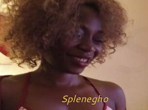 Splenegho