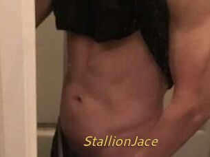StallionJace