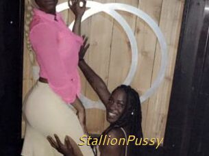 StallionPussy