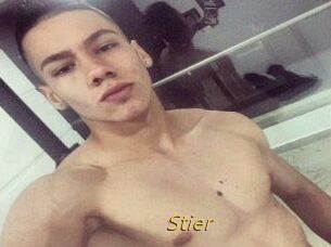 Stier