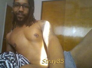 Stray85