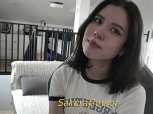 Sakuraflower