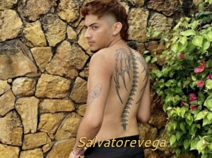 Salvatorevega