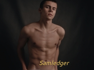 Samledger