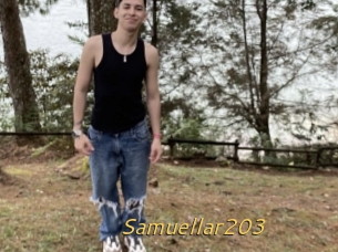 Samuellar203