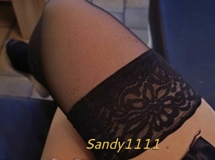 Sandy1111