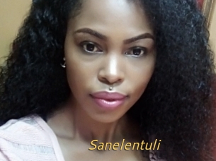 Sanelentuli