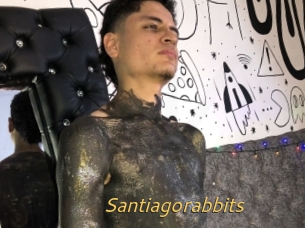 Santiagorabbits