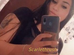 Scarlethrush