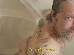 Scottyshark