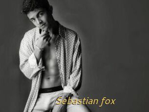 Sebastian_fox
