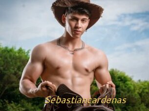 Sebastiancardenas