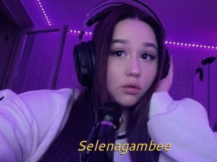 Selenagambee