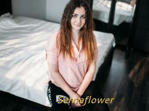 Sennaflower