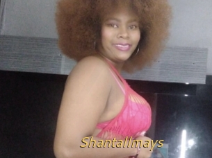 Shantallmays