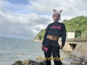 Shantielee