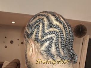 Shawnpoker