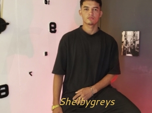 Shelbygreys