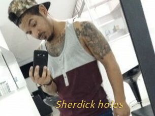 Sherdick_holes