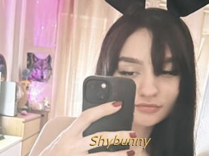 Shybunny