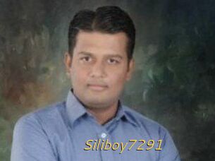 Siliboy7291