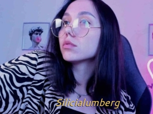 Silicialumberg