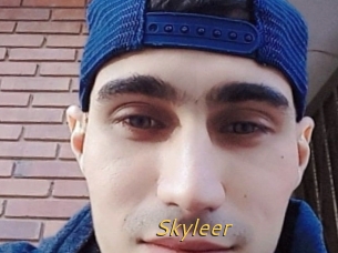 Skyleer